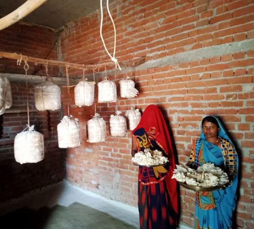 Sponsorship Programme